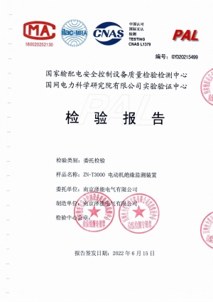 國網(wǎng)電科院檢驗報告（電機絕緣）